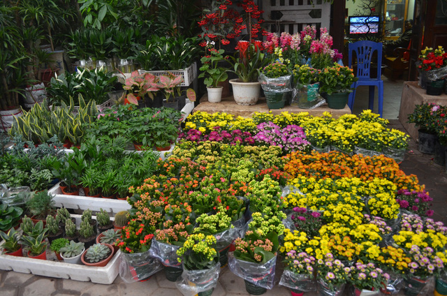 chợ hoa hoàng hoa thám